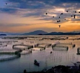 扬州伴游中国网景点丰富(旅游网介绍)