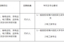 扬州重庆有雇用伴游外围吗(高端外围伴游雇用一单一结)