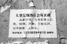 扬州珠海伴游雇用网(珠海游览社雇用信息)
