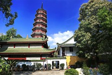 扬州广州自由行(广州 自由行)