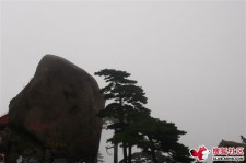 扬州上海伴游私家陪游雇用女模(上海伴游私家陪游雇用女模特)