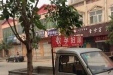 扬州上海伴游 用伴游造句大全(5