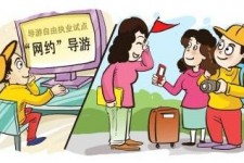 扬州伴游是什么