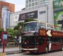 扬州上海私人伴游 上海过年怎么玩？这些“微游”线路了解下→