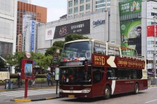 扬州上海私人伴游 上海过年怎么玩？这些“微游”线路了解下→