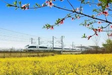 扬州高铁游(高铁游戏下载手机版)