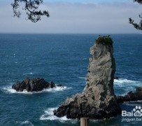 扬州旅游全攻略(上海旅游全攻略)