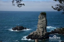 扬州旅游全攻略(上海旅游全攻略)