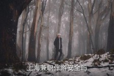 扬州上海私人伴游 上海伴游，上海兼职伴游安全吗