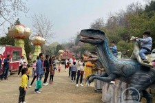 扬州中国伴游带你打卡网红南山竹海(南山竹海网上预约)