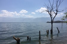 扬州洱海旅游攻略(洱海旅游攻略自由行)