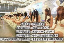扬州雇用旅游男伴游(北京商务酒店雇用伴游)