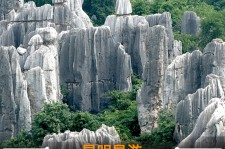 扬州贵阳市游览社英语伴游雇用(贵阳市前十名游览社是哪几家)