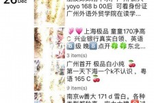 扬州外围伴游雇用圈套(雇用伴游什么样子的是实的)