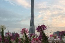 扬州广州旅游攻略(杭州到广州旅游攻略)