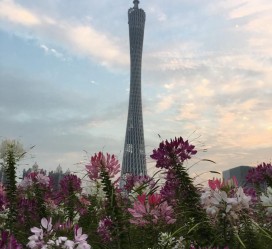 扬州广州旅游攻略(杭州到广州旅游攻略)