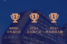 扬州上海私人伴游 ​ “小而美”的新时代：2020年国内新跟团消费报告