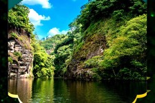 扬州旅游报价(旅行团旅游报价)