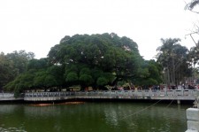 扬州福州旅游攻略(福州旅游攻略二日游)