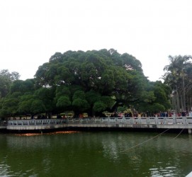 扬州福州旅游攻略(福州旅游攻略二日游)