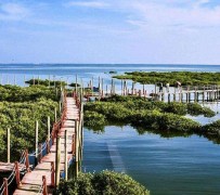 扬州旅游哪里好玩(云南旅游哪里好玩)