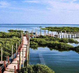 扬州旅游哪里好玩(云南旅游哪里好玩)
