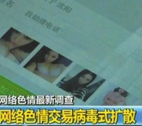 扬州上海伴游 伴游女郎白天陪玩晚上陪睡 网络跑火日薪过万(图)